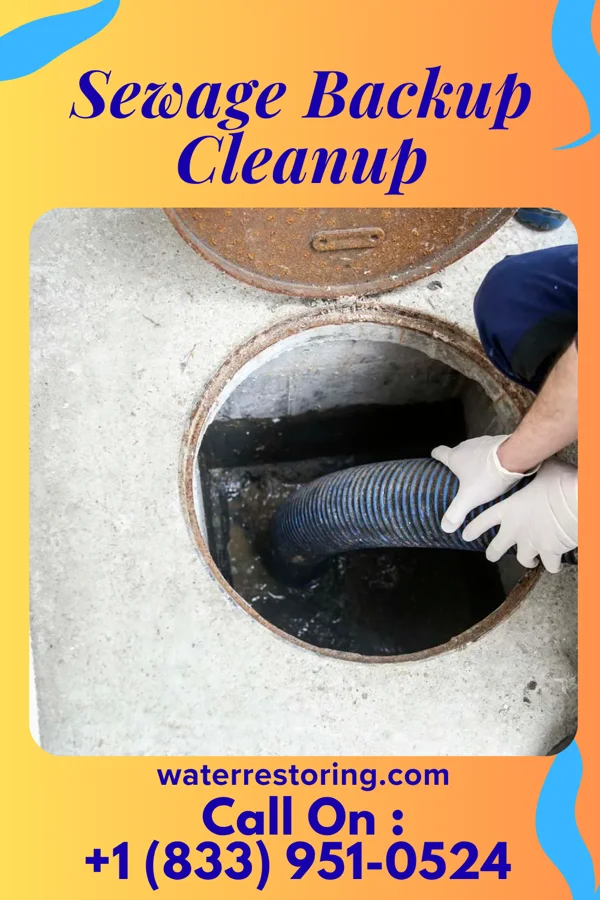 Sewage Backup Cleanup in Oswego, IL